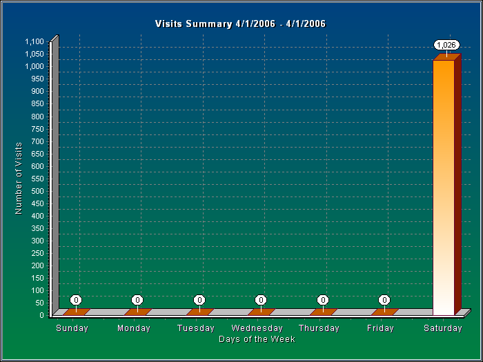 Visits Summary Report